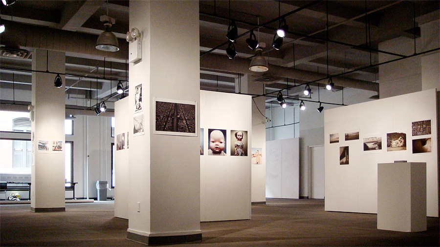 Art From the Heart 2009, view 1.