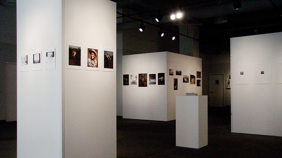 Art From the Heart 2009, view 2.