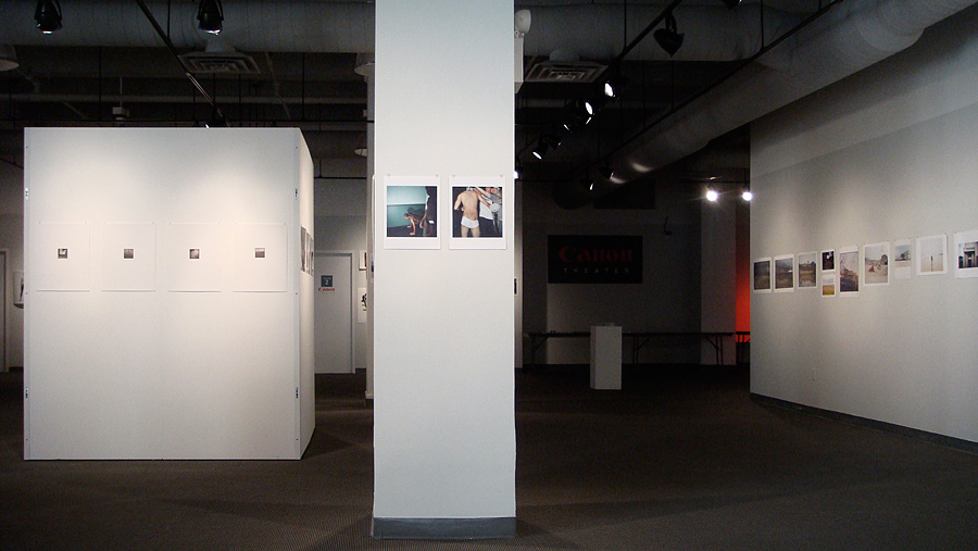 Art From the Heart 2009, view 3.